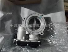 【原裝威孚方頭泵,原裝威孚方頭泵價格,圖片,配件廠家】