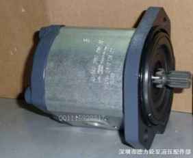 泵車1pf2g2齒輪泵 泵車1pf2g2齒輪泵 深圳市德力砼泵液壓配件部